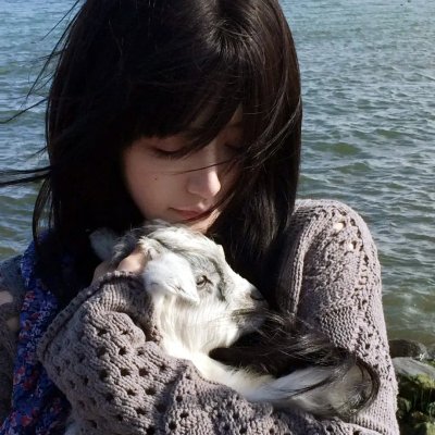 女王蜂游戏